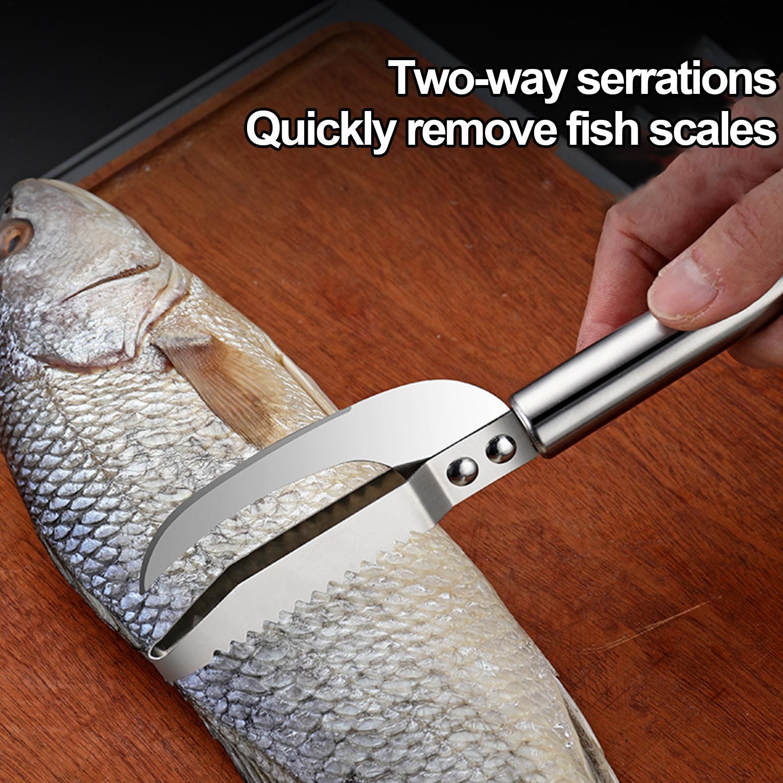 Fish Scale Remover Knife Picki - Kitchen Gadgets Everyone Needs review and price