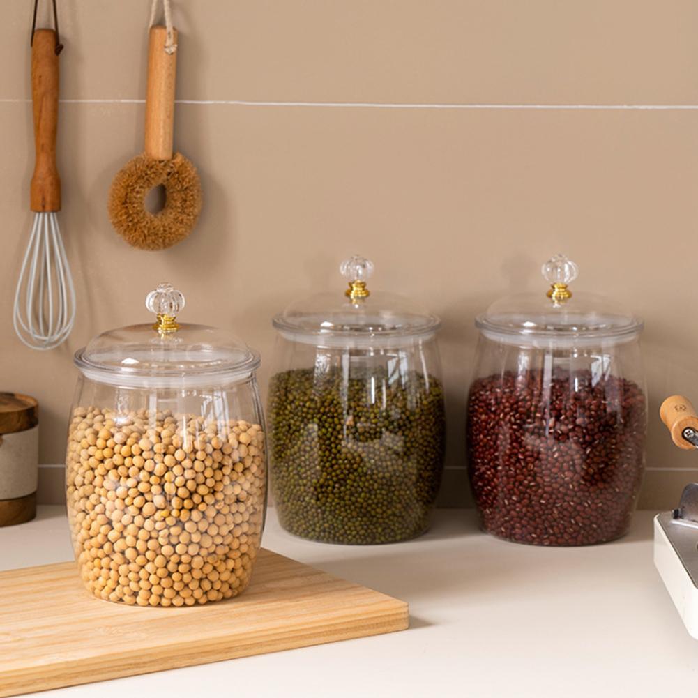 Large Transparent Plastic Seal - Food Storage Containers review and price