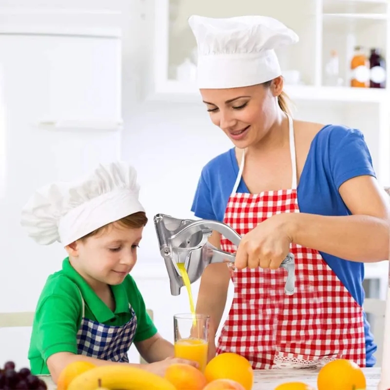 2026 Manual Juice Squeezer Alu - Kitchen Gadgets Juicer review and price