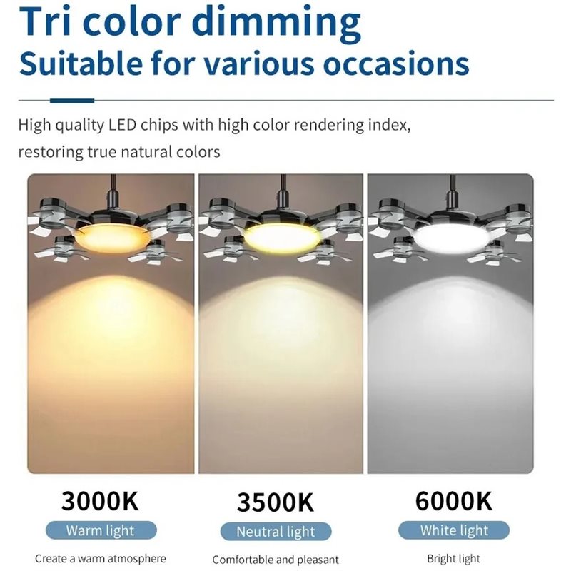 【KITCHEN GADGET】Ceiling Fan Li - Kitchen Room Gadgets review and price
